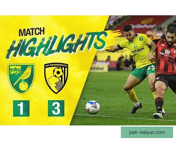 诺维奇冲超失败后状态分析：未来竞争力有待提升